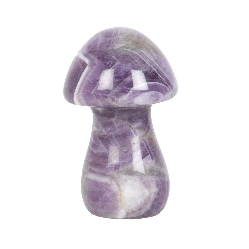 Magical Crystal Mushroom